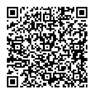 巴克现在却隐约觉得跟自己前段时间在渝庆特警中心搞那个手枪训练教材时候经常接触的华国新款92手枪有点类似二维码生成