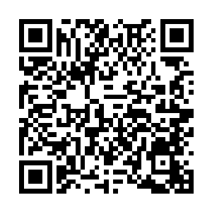 干脆把全部沙子都推到一起堆了一个简单粗暴的狗二维码生成