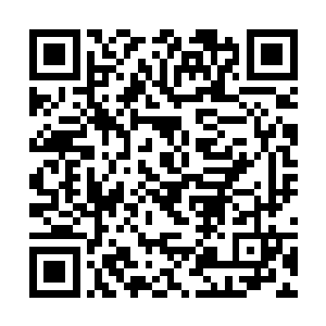 并不代表他就不会反击的……他这时候也是蓄力完毕二维码生成