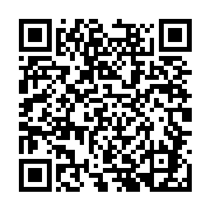 并不比怪兽们在异世界互相厮杀时的伤亡率高多少二维码生成