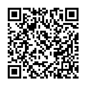 并成功通过了武斗会的试炼……再来挑战本王吧……二维码生成