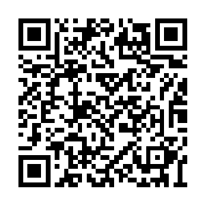 并指定江少阳为自己的御用维修和调校师的同时二维码生成