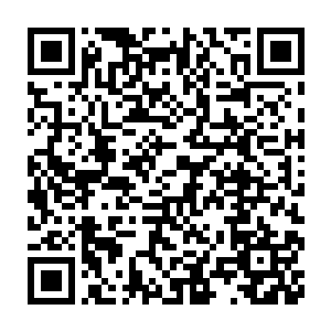 并斩杀了数只变异蟑螂王的楚旬等人也不可避免的被一只虫王给盯上了二维码生成