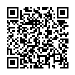 幽月和碧莲两人怎么会让他去使用原主人睡过的大床和东西二维码生成