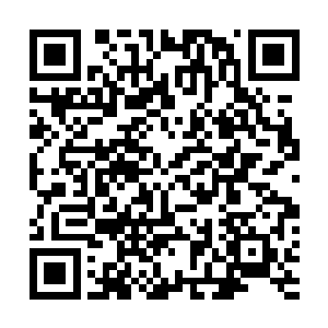 开始我们发现主星附近的星象图和大人带回的又不太一样二维码生成