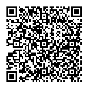 开始注入基因……注入百分之五十……注入百分之百……注入成功……注入中和剂……融合开始……二维码生成