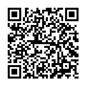 异界圣人是有多无聊才会把这么大的一个箱子放在自己房间二维码生成