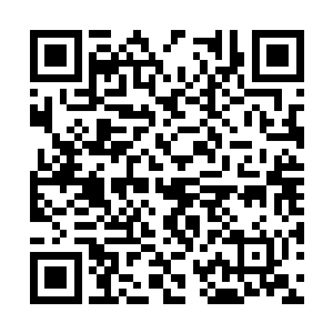 张虎和李桢似乎也察觉到徐晃对他们两个颇为满意二维码生成