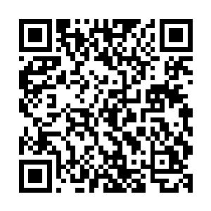 张蜀生和蒋百里等人又亲自去看了看单兵训练和连排组合训练二维码生成