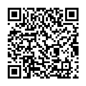 张铁与诺曼帝国的皇太子菲利斯有过一次单独的会面二维码生成