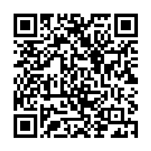 张铁在拳法上的造诣还有战斗时魔兽般的强悍与无畏二维码生成