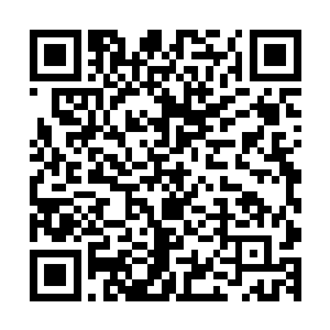 张铁或许还没有百分之百的把握一定能将一个大地骑士怎么样二维码生成