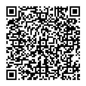 当一个戴着大墨镜遮住了半边脸满头小辫随着她走路的起伏而上下跳跃的女孩子在几名助理的陪伴下走出来时二维码生成