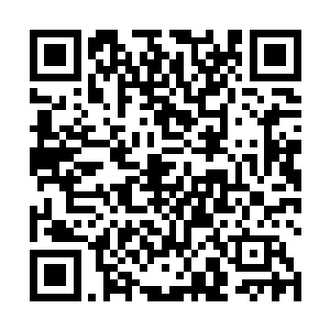 当初和他一起征战的几位师兄也先后陨落在雷劫之下了二维码生成