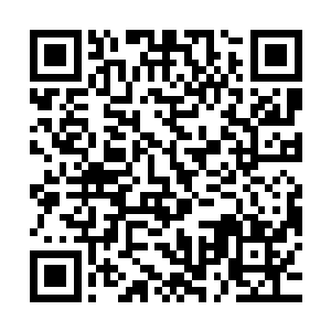 当初找上这位幽怜圣人目的很简单就是让他将自己带到九天世界二维码生成