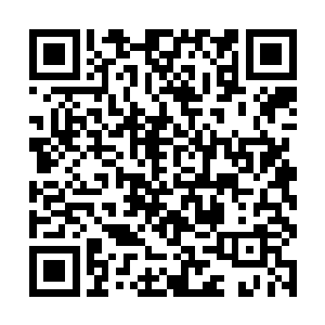 当初自家首长和姑爷之间的赌约他是全部听在耳中的二维码生成