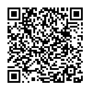 当初自己可是花了将近几千万才从那涂门主手中买下了一粒金参果的种子二维码生成