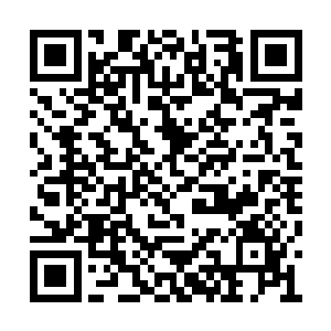 当初苗云苏的身边可是跟着两位修神期的修士的二维码生成