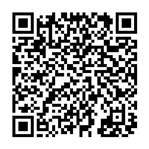 当大家以为这房子下一秒就可能会倒塌时清平王的琴声又忽然变柔和了下来二维码生成
