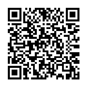 当大长老和族长听到凤凰被西门大广打成重伤的时候二维码生成