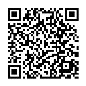 当年那个在咖啡馆义正言辞地拒绝林云彤的小不点儿二维码生成