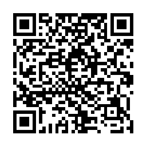 当张蜀生从复眼系统一旁的无线电话机中听到这个报告时二维码生成