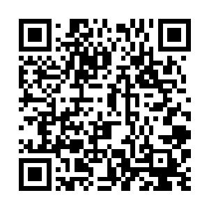 当时动手的时候我们这边的人没一个对白凤凰动手的二维码生成