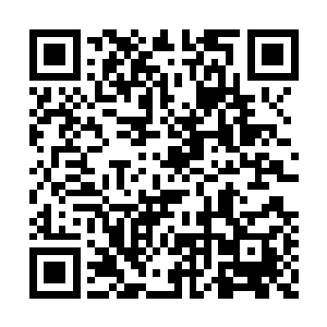 当时濮小虎跟他爹请求了一支小队去拦截敢死队二维码生成