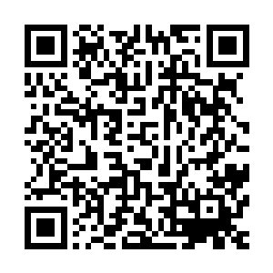 当时给他测试的霍普让他把骨器留下就已经表示他的初测通过二维码生成