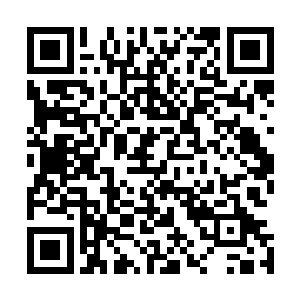 当然就算是这样的话皇帝的身份地位也不是别人能够相比的二维码生成