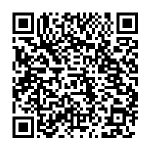 当然是在第一时间将他们鲸鲨族就在的所有鲸鲨族都给聚集了起来二维码生成