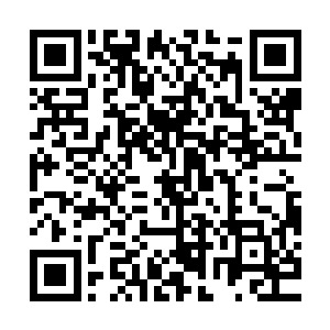 当落日家的所有人和特使都认为夏天一定会对上白面书生的时候二维码生成