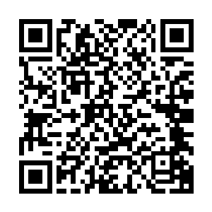 当许麒娓娓地将当初他们逃亡的故事说给风灵儿等人听的时候二维码生成