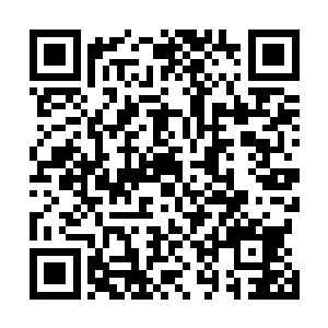 当队伍行到出了长城的一个属于万全都司名下的小村庄时二维码生成