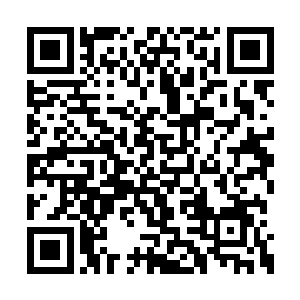 彷佛刚才记者们离开的场面根本就不是事的模样二维码生成