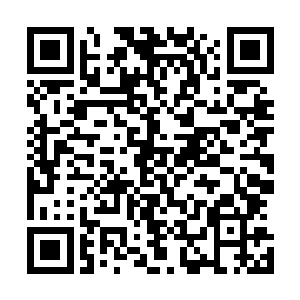 彼时兰斯似乎正在忙于和觊觎费南的一些外次元的怪物作战二维码生成