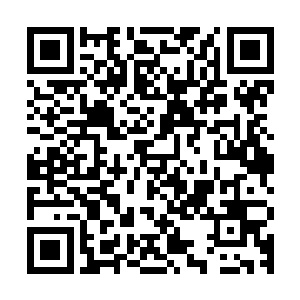 很多强大的灵兽在它们幼年体的时候根本看不出来有什么特殊的二维码生成