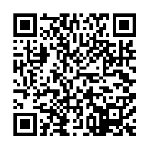 很大程度上可以预测到将来三十六国第一的头衔到底归谁所有二维码生成