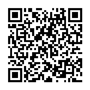 很快就连尼尔和福金也都是一脸认同的表情看向了雨果二维码生成