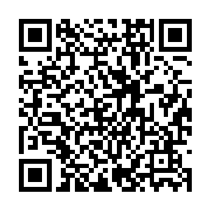 很明显母亲是在炒菜到一半的时候突然匆匆离开的二维码生成