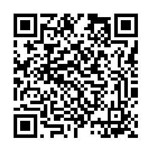 很是奇怪天道为何就跟没看见一样的站在原地一动不动二维码生成