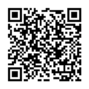 徐绕有一个非常大的野心――他不单要改苏文的诗二维码生成