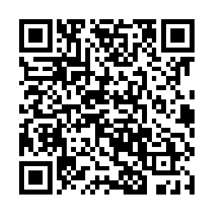 德古拉家族几乎已经达到了呼风唤雨无所不能的程度二维码生成