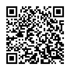 快速的侵入了秦方的体内……然后眨眼之间就彻底的消失了二维码生成