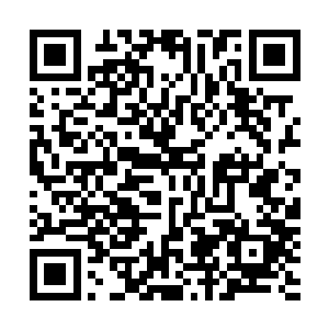 怎么也不能看着吞党的那些杂碎把你给吞得骨头都不剩一根二维码生成