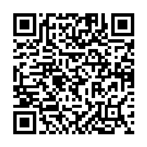 怜惜弱者到不顾生死……莫昕岚只不过不平不忿而已二维码生成