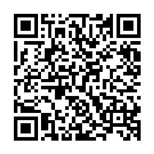 急急忙忙又将长生和元辰夕让山神继续跟抗麻布袋一样的抗着二维码生成