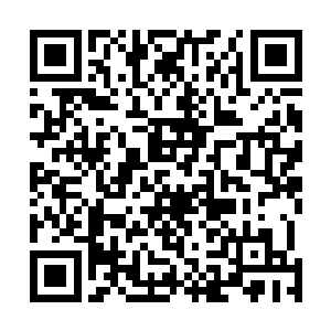 怪不得这掌柜的说杜家拍卖行两名高层管理人员都会出现二维码生成