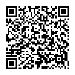 怪不得那幽火和骨煞会死在苍茫界界主手中v不得他敢怒向真一教教主拔剑二维码生成