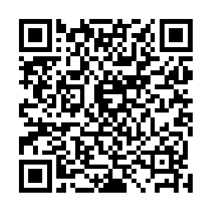 怯怯的声音突然在满堂哄张生下台的噪杂声中显得很另类二维码生成